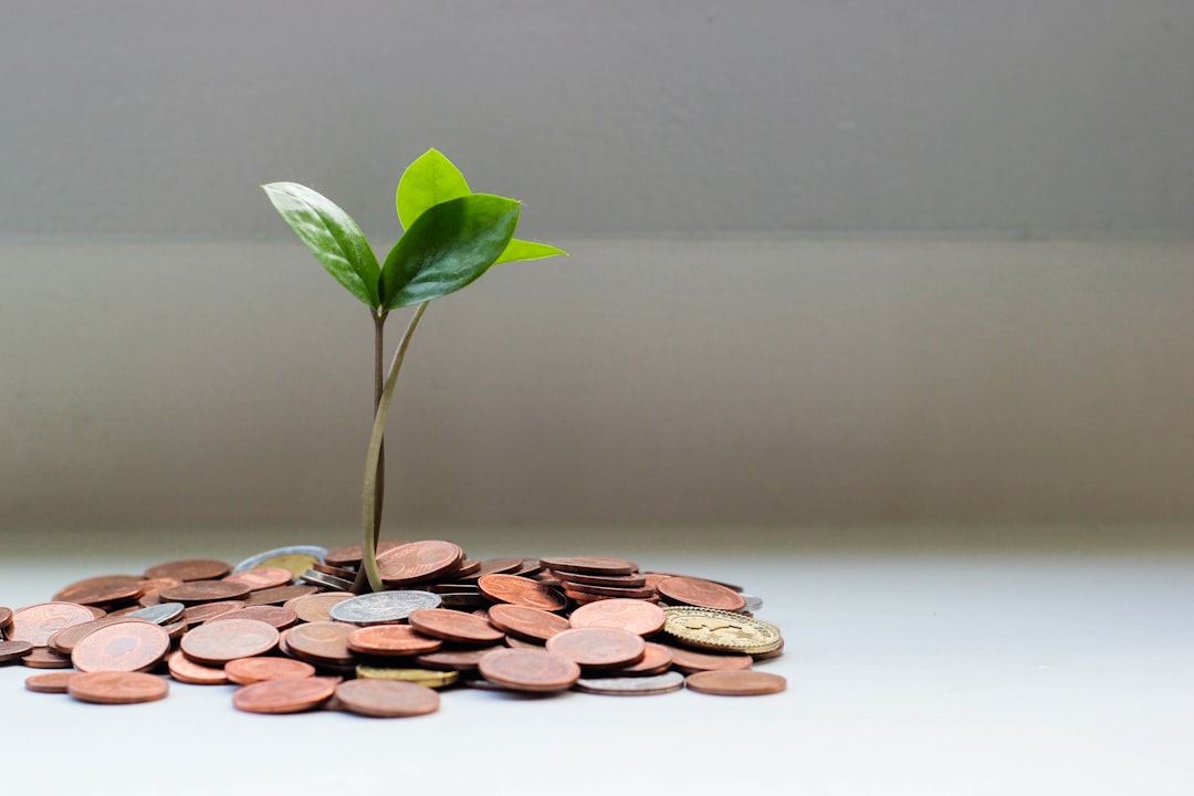 Estrategias de inversión
